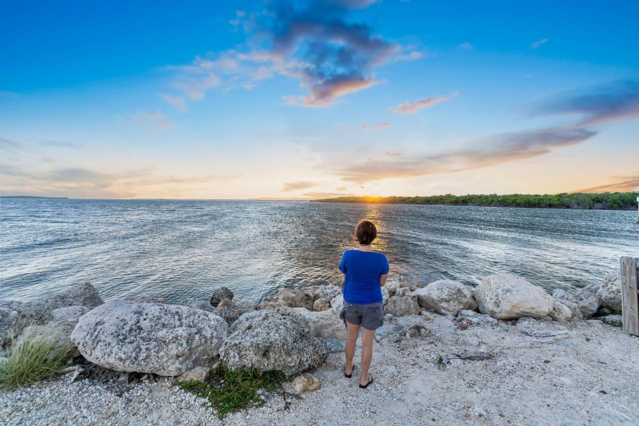 Voted Key Largo'S #1 Destination, Pool, Marina, Kayaks, Tennis, Pickle Ball Extérieur photo